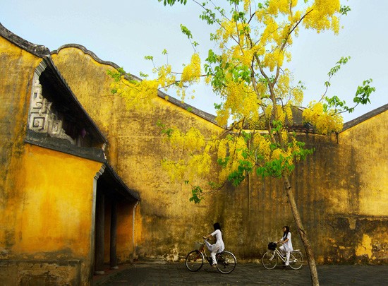 Warisan Budaya Vietnam 2012 melalui foto - ảnh 5